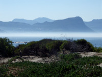 Misty beach in South Africa