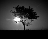 Swaziland sunset - black and white