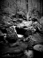 Anna Ruby Falls (black and white)