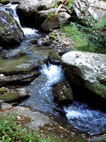 Anna Ruby Falls - snapshot