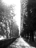 Parisian Sidewalk