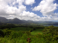 Kaui garden route overlook