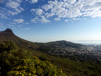 Hillside of Table Mountain, Cape Town