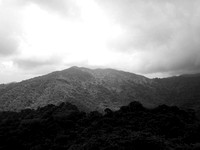 Puerto Rico hillside - black and white